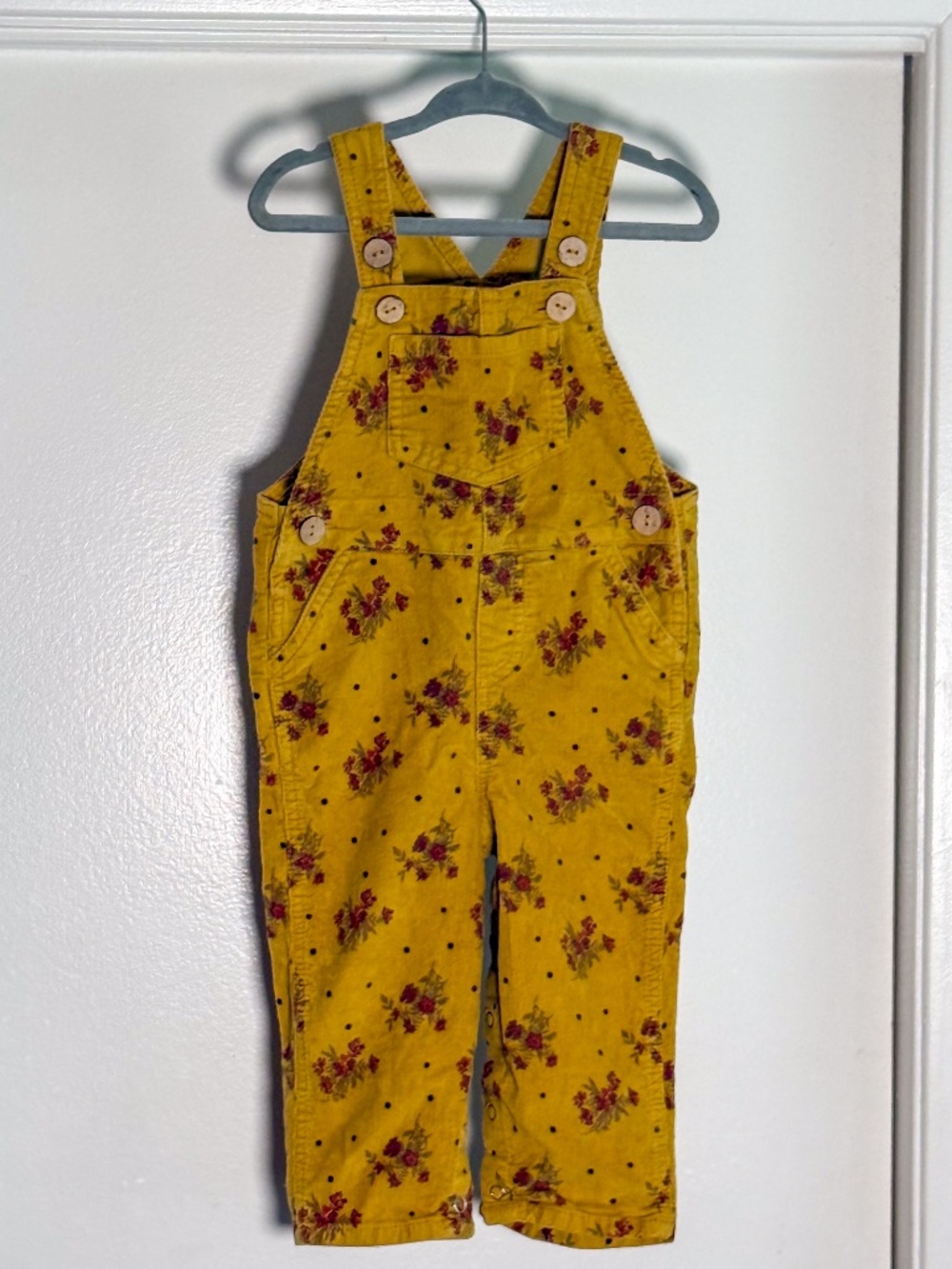 Wild Wawa Mustard Floral Overalls ✿ 18–24 Months
